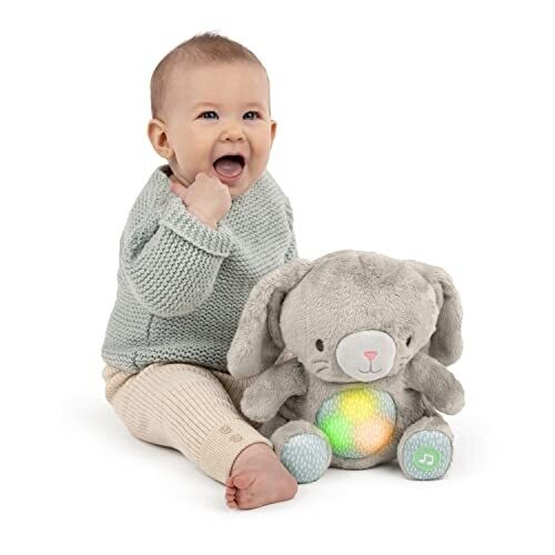 <strong>Warning:</strong> Undefined variable $product in <strong>~/includes/templates/default.catalog/views/box_product.inc.php</strong> on line <strong>57</strong><br />
<strong>Warning:</strong> Trying to access array offset on null in <strong>~/includes/templates/default.catalog/views/box_product.inc.php</strong> on line <strong>57</strong><br />
<strong>Deprecated:</strong> htmlspecialchars(): Passing null to parameter #1 ($string) of type string is deprecated in <strong>~/includes/templates/default.catalog/views/box_product.inc.php</strong> on line <strong>57</strong><br />
