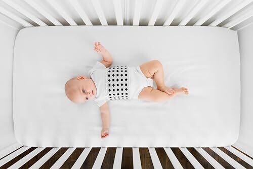 <strong>Warning:</strong> Undefined variable $product in <strong>~/includes/templates/default.catalog/views/box_product.inc.php</strong> on line <strong>57</strong><br />
<strong>Warning:</strong> Trying to access array offset on null in <strong>~/includes/templates/default.catalog/views/box_product.inc.php</strong> on line <strong>57</strong><br />
<strong>Deprecated:</strong> htmlspecialchars(): Passing null to parameter #1 ($string) of type string is deprecated in <strong>~/includes/templates/default.catalog/views/box_product.inc.php</strong> on line <strong>57</strong><br />
