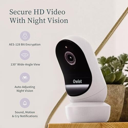<strong>Warning:</strong> Undefined variable $product in <strong>~/includes/templates/default.catalog/views/box_product.inc.php</strong> on line <strong>57</strong><br />
<strong>Warning:</strong> Trying to access array offset on null in <strong>~/includes/templates/default.catalog/views/box_product.inc.php</strong> on line <strong>57</strong><br />
<strong>Deprecated:</strong> htmlspecialchars(): Passing null to parameter #1 ($string) of type string is deprecated in <strong>~/includes/templates/default.catalog/views/box_product.inc.php</strong> on line <strong>57</strong><br />
