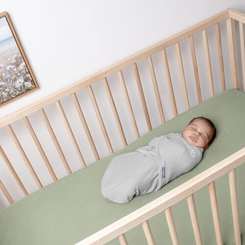 <strong>Warning:</strong> Undefined variable $product in <strong>~/includes/templates/default.catalog/views/box_product.inc.php</strong> on line <strong>57</strong><br />
<strong>Warning:</strong> Trying to access array offset on null in <strong>~/includes/templates/default.catalog/views/box_product.inc.php</strong> on line <strong>57</strong><br />
<strong>Deprecated:</strong> htmlspecialchars(): Passing null to parameter #1 ($string) of type string is deprecated in <strong>~/includes/templates/default.catalog/views/box_product.inc.php</strong> on line <strong>57</strong><br />
