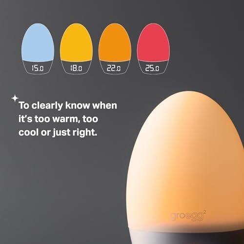 <strong>Warning:</strong> Undefined variable $product in <strong>~/includes/templates/default.catalog/views/box_product.inc.php</strong> on line <strong>57</strong><br />
<strong>Warning:</strong> Trying to access array offset on null in <strong>~/includes/templates/default.catalog/views/box_product.inc.php</strong> on line <strong>57</strong><br />
<strong>Deprecated:</strong> htmlspecialchars(): Passing null to parameter #1 ($string) of type string is deprecated in <strong>~/includes/templates/default.catalog/views/box_product.inc.php</strong> on line <strong>57</strong><br />
