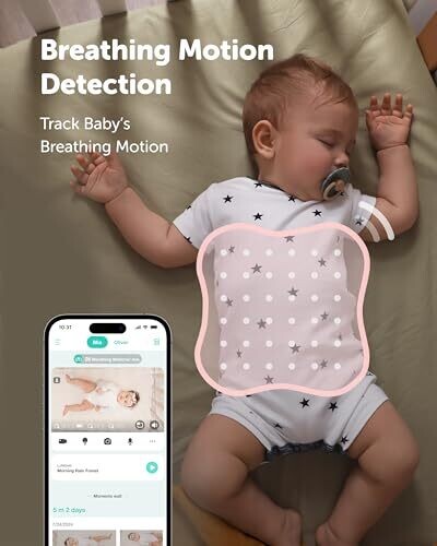 <strong>Warning:</strong> Undefined variable $product in <strong>~/includes/templates/default.catalog/views/box_product.inc.php</strong> on line <strong>57</strong><br />
<strong>Warning:</strong> Trying to access array offset on null in <strong>~/includes/templates/default.catalog/views/box_product.inc.php</strong> on line <strong>57</strong><br />
<strong>Deprecated:</strong> htmlspecialchars(): Passing null to parameter #1 ($string) of type string is deprecated in <strong>~/includes/templates/default.catalog/views/box_product.inc.php</strong> on line <strong>57</strong><br />
