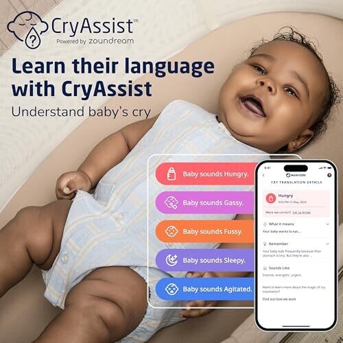 <strong>Warning:</strong> Undefined variable $product in <strong>~/includes/templates/default.catalog/views/box_product.inc.php</strong> on line <strong>57</strong><br />
<strong>Warning:</strong> Trying to access array offset on null in <strong>~/includes/templates/default.catalog/views/box_product.inc.php</strong> on line <strong>57</strong><br />
<strong>Deprecated:</strong> htmlspecialchars(): Passing null to parameter #1 ($string) of type string is deprecated in <strong>~/includes/templates/default.catalog/views/box_product.inc.php</strong> on line <strong>57</strong><br />
