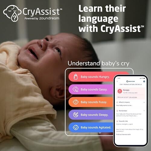 <strong>Warning:</strong> Undefined variable $product in <strong>~/includes/templates/default.catalog/views/box_product.inc.php</strong> on line <strong>57</strong><br />
<strong>Warning:</strong> Trying to access array offset on null in <strong>~/includes/templates/default.catalog/views/box_product.inc.php</strong> on line <strong>57</strong><br />
<strong>Deprecated:</strong> htmlspecialchars(): Passing null to parameter #1 ($string) of type string is deprecated in <strong>~/includes/templates/default.catalog/views/box_product.inc.php</strong> on line <strong>57</strong><br />
