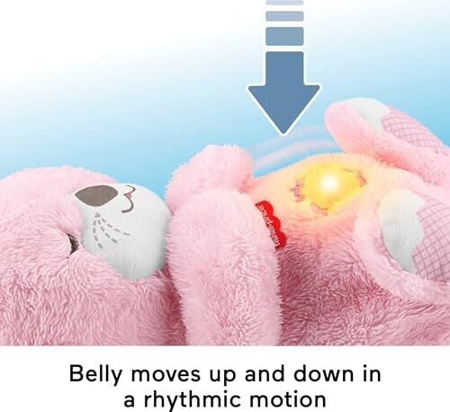 <strong>Warning:</strong> Undefined variable $product in <strong>~/includes/templates/default.catalog/views/box_product.inc.php</strong> on line <strong>57</strong><br />
<strong>Warning:</strong> Trying to access array offset on null in <strong>~/includes/templates/default.catalog/views/box_product.inc.php</strong> on line <strong>57</strong><br />
<strong>Deprecated:</strong> htmlspecialchars(): Passing null to parameter #1 ($string) of type string is deprecated in <strong>~/includes/templates/default.catalog/views/box_product.inc.php</strong> on line <strong>57</strong><br />
