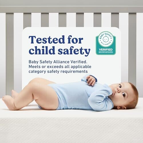 <strong>Warning:</strong> Undefined variable $product in <strong>~/includes/templates/default.catalog/views/box_product.inc.php</strong> on line <strong>57</strong><br />
<strong>Warning:</strong> Trying to access array offset on null in <strong>~/includes/templates/default.catalog/views/box_product.inc.php</strong> on line <strong>57</strong><br />
<strong>Deprecated:</strong> htmlspecialchars(): Passing null to parameter #1 ($string) of type string is deprecated in <strong>~/includes/templates/default.catalog/views/box_product.inc.php</strong> on line <strong>57</strong><br />

